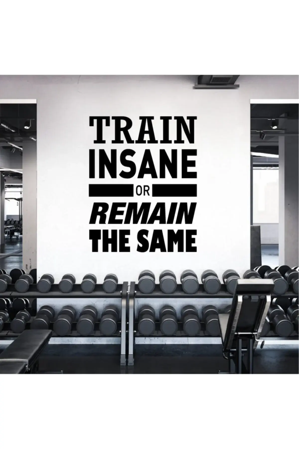 Налепница за ѕид за теретана 3 (Train Insane Or Remain The Same)